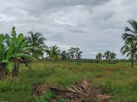 Land for sale in Amazonas, Rio Preto Da Eva, Rio Preto Da Eva, Amazonas