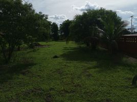  Land for sale in Mueang Nong Khai, Nong Khai, Mi Chai, Mueang Nong Khai