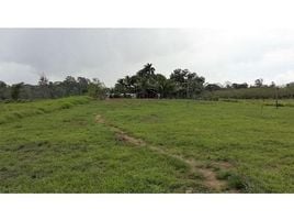  Land for sale in Sarapiqui, Heredia, Sarapiqui