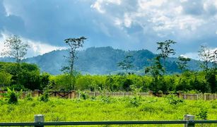N/A Land for sale in Bang Thong, Phangnga 