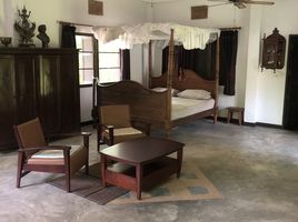 4 Bedroom House for sale in Chiang Mai, Pa Lan, Doi Saket, Chiang Mai