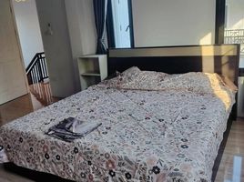 3 Schlafzimmer Villa zu vermieten in Hang Dong, Chiang Mai, San Phak Wan, Hang Dong