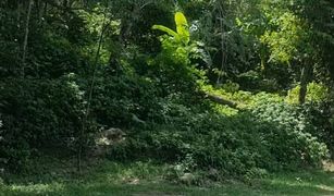 N/A Land for sale in Choeng Thale, Phuket 