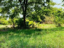  Land for sale in Siem Reab, Krong Siem Reap, Siem Reab