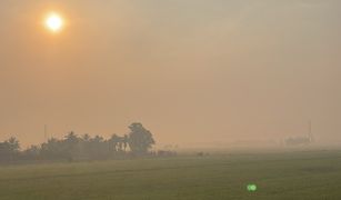 N/A Grundstück zu verkaufen in Bang Khwan, Chachoengsao 