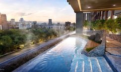 写真 1 of the Communal Pool at Quintara Phume Sukhumvit 39