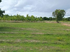  Land for sale in Nong Pradu, Lao Khwan, Nong Pradu