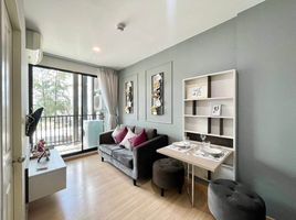 1 Schlafzimmer Appartement zu vermieten im Zcape I, Choeng Thale, Thalang, Phuket