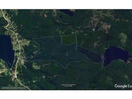  Land for sale in Chiloe, Los Lagos, Chonchi, Chiloe