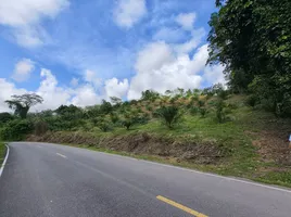  Земельный участок for sale in Takua Thung Пханга, Khlong Khian, Takua Thung