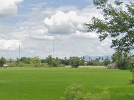 在南奔府出售的 土地, Ton Thong, Mueang Lamphun, 南奔府