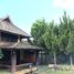 3 Bedroom House for sale in Mueang Chiang Rai, Chiang Rai, Rop Wiang, Mueang Chiang Rai