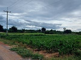  Land for sale in Kanchanaburi, Klon Do, Dan Makham Tia, Kanchanaburi