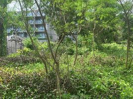  Land for sale in Patong Beach, Patong, Patong