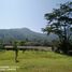  Land for sale in Chiang Mai, Inthakhin, Mae Taeng, Chiang Mai