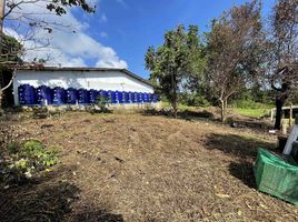  Land for sale in Bangkok Hospital Samui, Bo Phut, Bo Phut