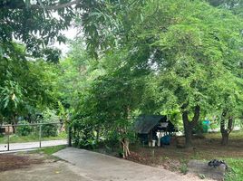  Land for sale in Nikhom Sang Ton-Eng Lam Dom Noi, Sirindhorn, Nikhom Sang Ton-Eng Lam Dom Noi