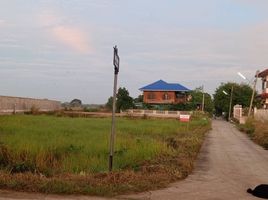  Grundstück zu verkaufen in Mueang Lop Buri, Lop Buri, Kok Ko