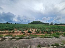  Land for sale in Huai Yai, Pattaya, Huai Yai