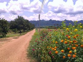  Land for sale in Lin Thin, Thong Pha Phum, Lin Thin