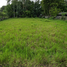  Land for sale in Khon Kaen, Tha Phra, Mueang Khon Kaen, Khon Kaen