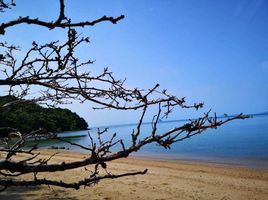  Grundstück zu verkaufen in Ko Yao, Phangnga, Ko Yao Yai