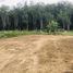  Land for sale in Thung Song, Nakhon Si Thammarat, Khuan Krot, Thung Song
