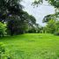  Land for sale in Pococi, Limon, Pococi