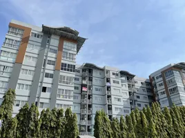 1 Bedroom Condo for rent at The Seasons Srinakarin, Bang Mueang Mai