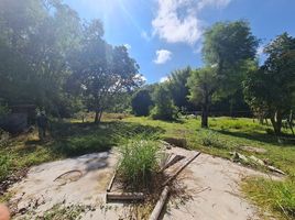  Land for sale in Ubon Ratchathani, Nong Khon, Mueang Ubon Ratchathani, Ubon Ratchathani