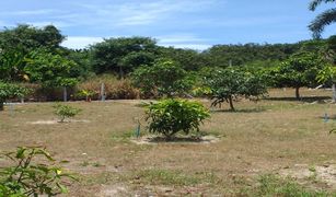 N/A Land for sale in Na Ta Khwan, Rayong 