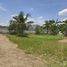  Land for sale in Nong Khwai, Chiang Mai, Nong Khwai, Hang Dong