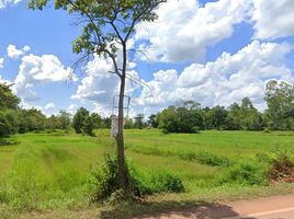  Grundstück zu verkaufen in Phon Na Kaeo, Sakon Nakhon, Chiang Sue, Phon Na Kaeo