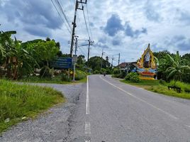  Land for sale in Mueang Nakhon Si Thammarat, Nakhon Si Thammarat, Chai Montri, Mueang Nakhon Si Thammarat