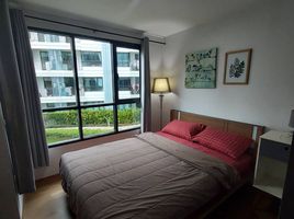 1 Bedroom Condo for rent at Centrio, Wichit, Phuket Town, Phuket