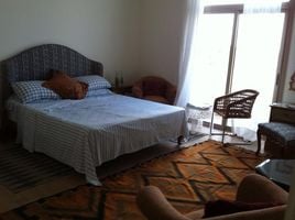 4 Schlafzimmer Reihenhaus zu vermieten im Allegria, Sheikh Zayed Compounds, Sheikh Zayed City