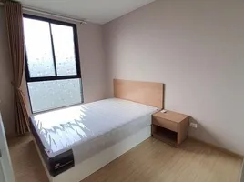 1 Schlafzimmer Wohnung zu vermieten im The Tree Onnut Station, Bang Chak