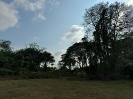  Land for sale in Laguna Beach, Choeng Thale, Choeng Thale