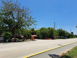  Land for sale in Suphan Buri, Tha Rahat, Mueang Suphan Buri, Suphan Buri