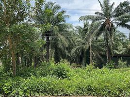  Grundstück zu verkaufen in Bo Rai, Trat, Nong Bon, Bo Rai