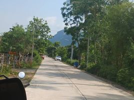  Grundstück zu verkaufen in Sam Roi Yot, Prachuap Khiri Khan, Sam Roi Yot, Sam Roi Yot, Prachuap Khiri Khan, Thailand