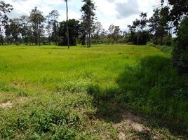  Land for sale in Chonnabot, Khon Kaen, Kut Phia Khom, Chonnabot