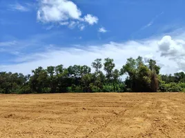 ขายที่ดิน ใน ตะกั่วทุ่ง พังงา, โคกกลอย, ตะกั่วทุ่ง