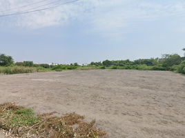  Land for sale in Mueang Nakhon Pathom, Nakhon Pathom, Phrong Maduea, Mueang Nakhon Pathom