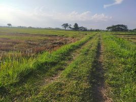  Grundstück zu verkaufen in Phan, Chiang Rai, Muang Kham