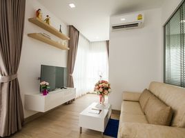 1 Schlafzimmer Wohnung zu verkaufen im Hinoki Condo Chiangmai, Chang Phueak, Mueang Chiang Mai