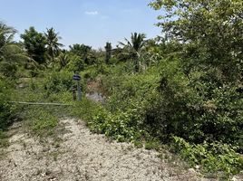  Land for sale in Chachoengsao, Bang Phai, Mueang Chachoengsao, Chachoengsao