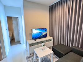 1 Bedroom Condo for rent at The Sky Sukhumvit, Bang Na, Bang Na