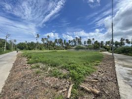  Land for sale in Surat Thani, Maenam, Koh Samui, Surat Thani