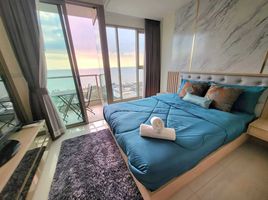 Studio Appartement zu vermieten im The Riviera Jomtien, Nong Prue